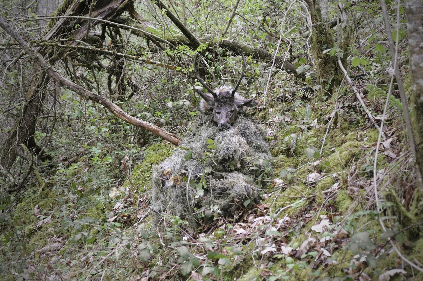 Ouvrir son âme à la nature