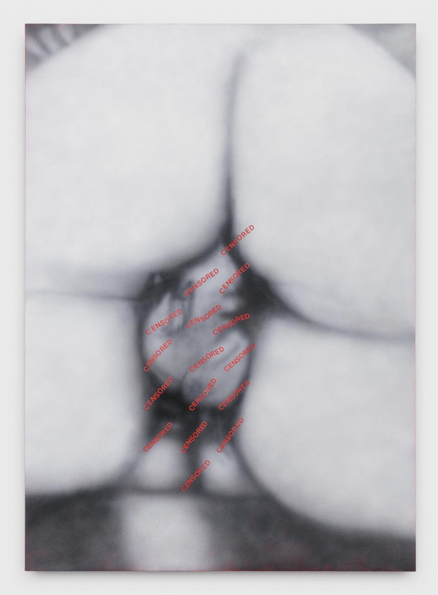 Betty Tompkins, "Censored Painting #2 (Paris 1973 - Instagram 2019)", 2019, acrylique sur toile, 213,4 x 152,4 cm.