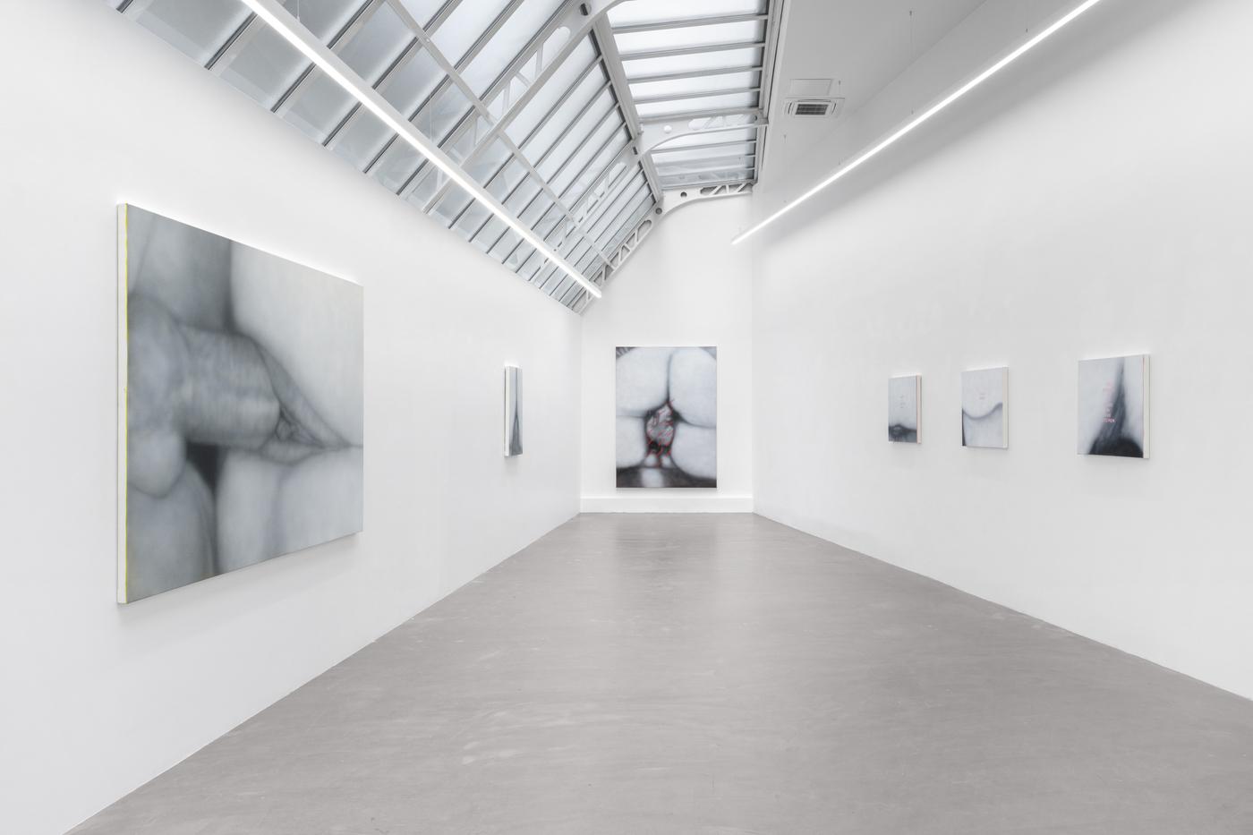 « Betty Tompkins. Sex paintings », galerie Bremond Capela.