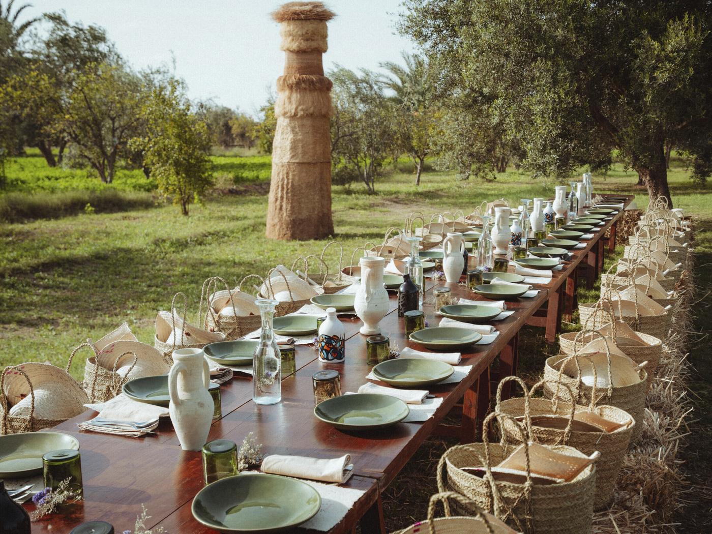 Une table de déjeuner dressée au milieu de l’oliveraie de Tacapae à Gabès à l’occasion de la récolte en octobre 2024.