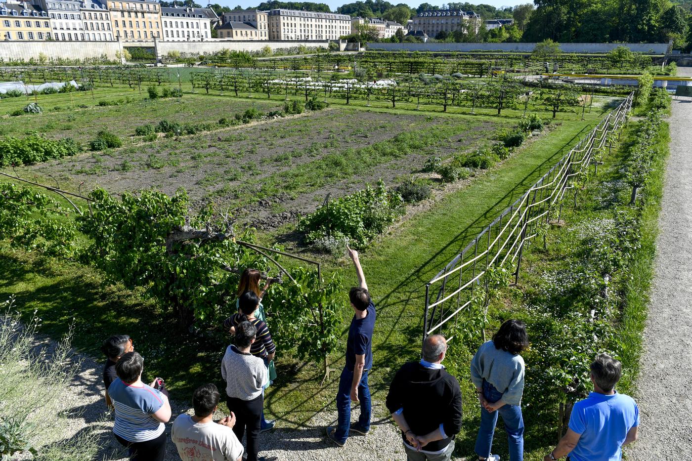 Naissance d’une formation de maître-jardinier à Versailles
