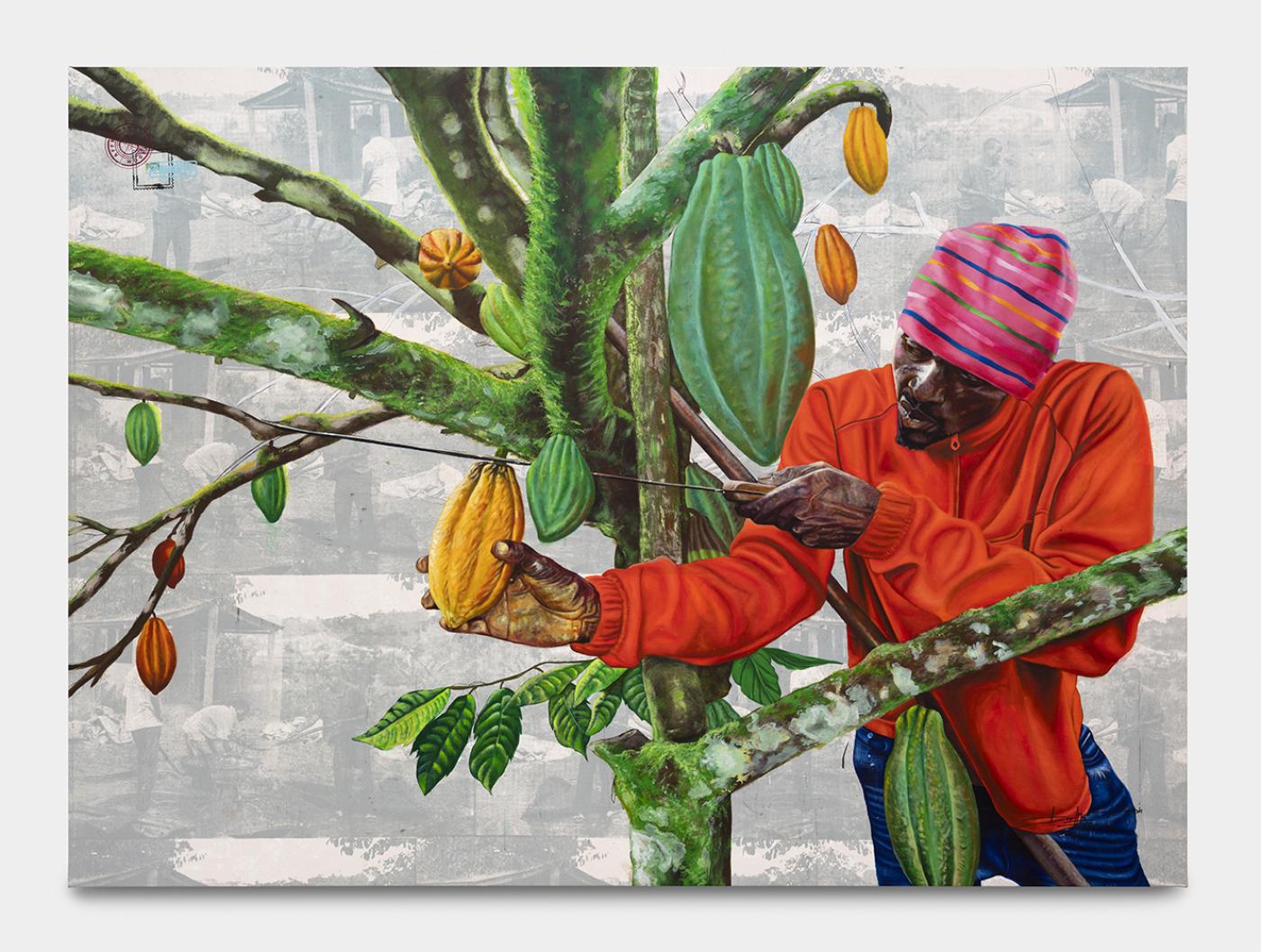 La complainte du cacao