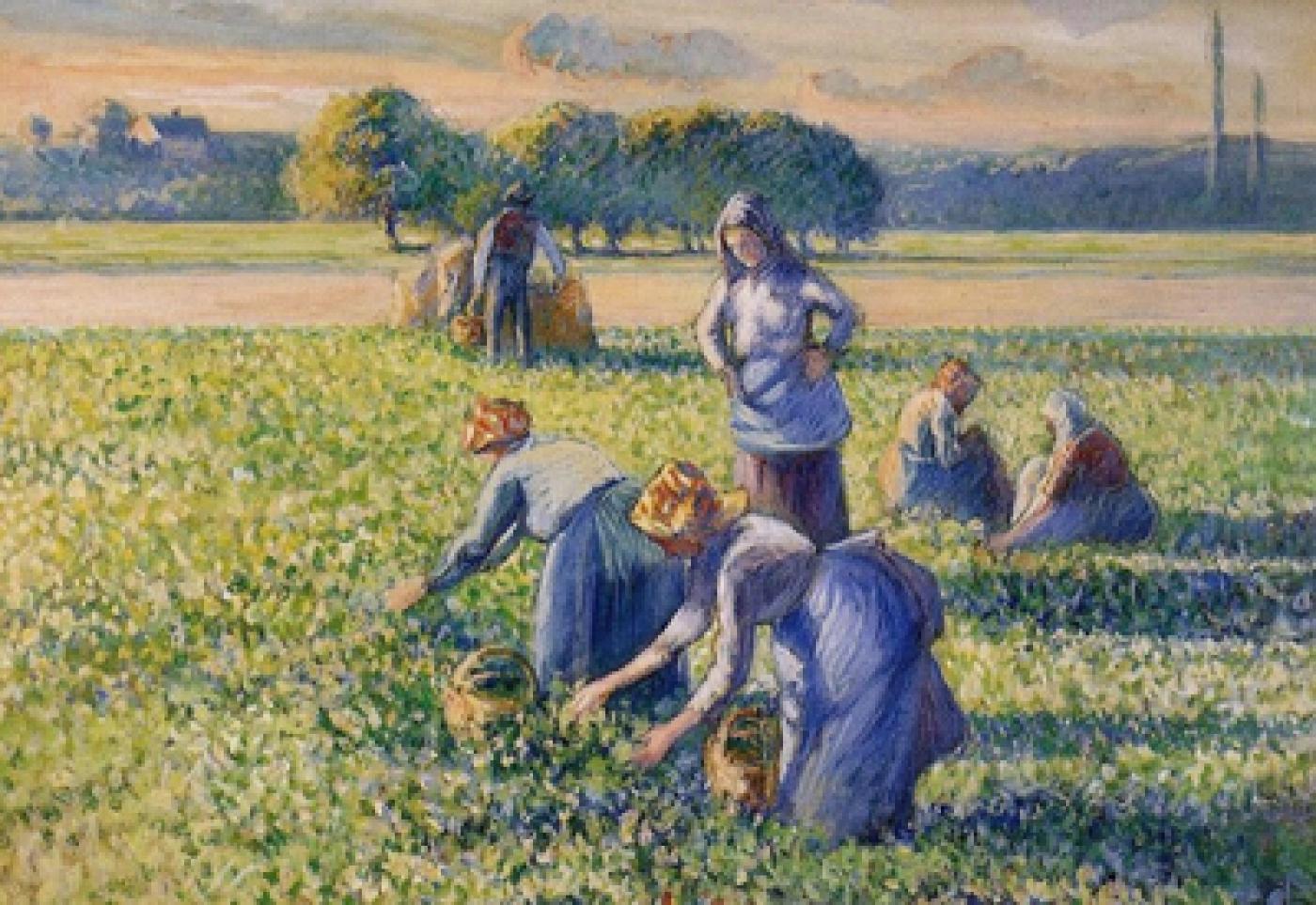 Le Pissarro restitué aux héritiers Bauer