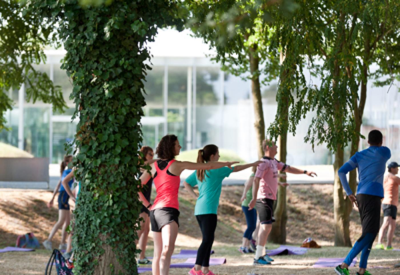 Le yoga, au diapason des œuvres