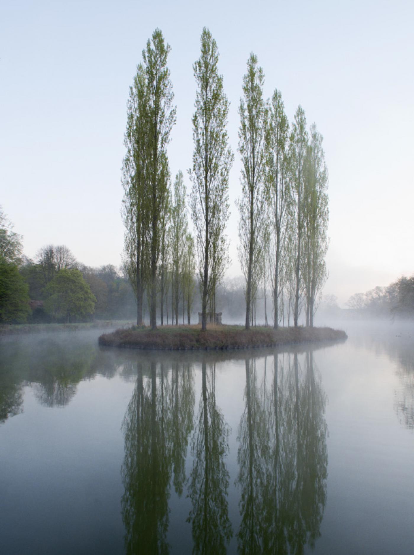 Parc Jean-Jacques Rousseau. Ermenonville. 2014.