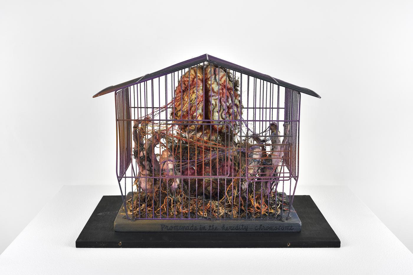 Tetsumi Kudo, "Promenade in the heredity, Chromosome", 1979, plastique, cage en métal, panneau de bois, terre, résine, colle, cellulose, 27 x 34 x 19 cm, (encadrement : 37 x 40 x 27 cm).
Pièce unique.